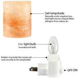 Himalayan Salt Lamp Night Light Natural, Air Purifier Rock Rotatable